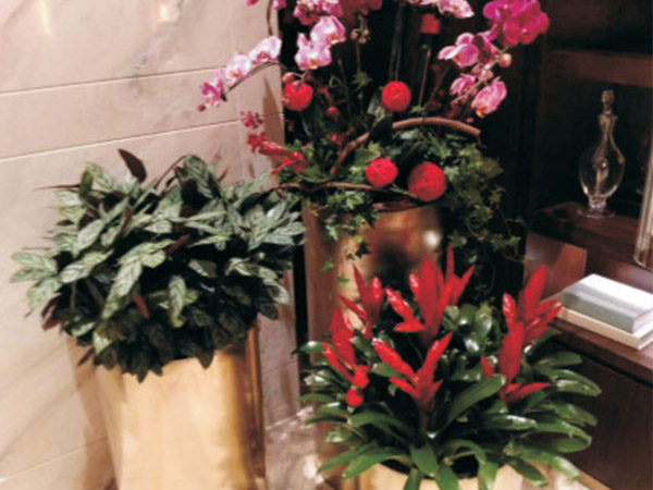 组合花卉 (1)
