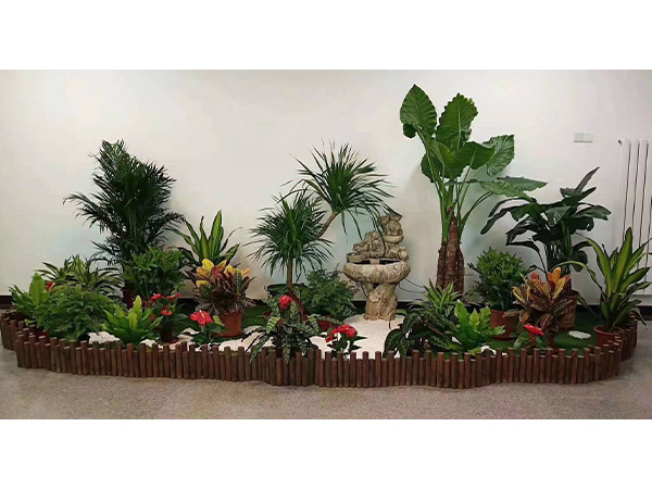 组合花卉 (6)