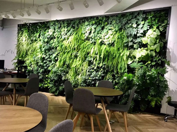 绿植墙 (3)